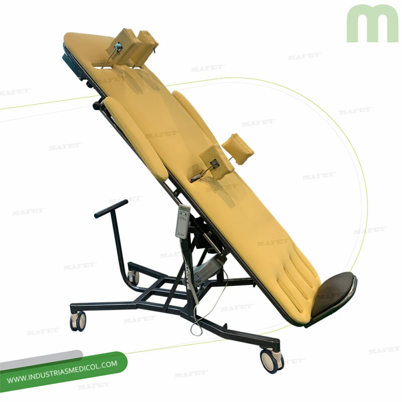 CAMILLA ELÉCTRICA DE BIPEDESTACIÓN